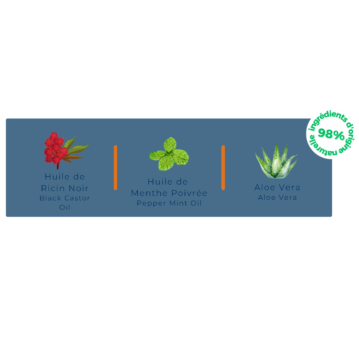 Red Flower Green Herb Leaves and Aloe Vera Plants - JS Organics